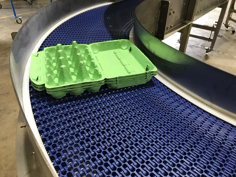 Packaging Industry Conveyor