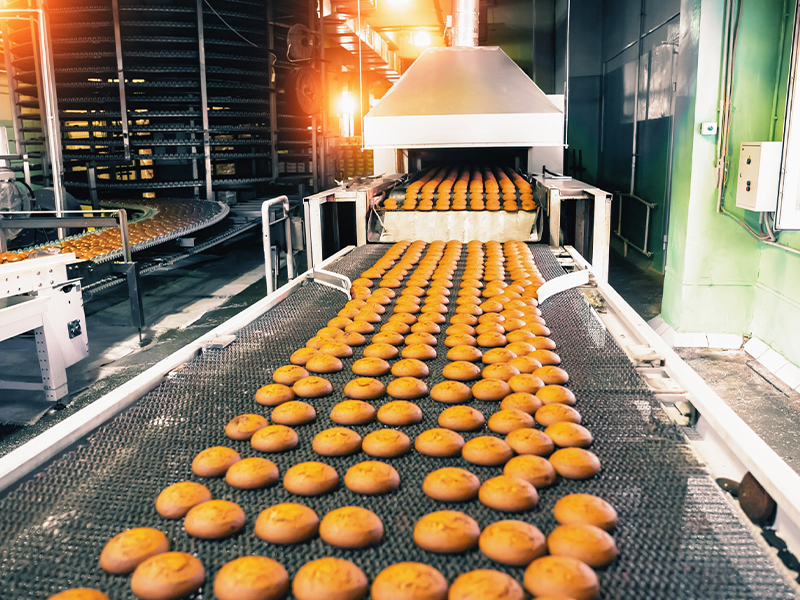 Food Industry Conveyor